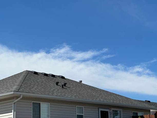 Professional Roofing Service in Auburn, ME